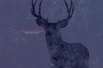 Cold Body Radiation - Deer Twilight